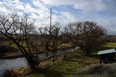 DSC_1019 (Large).JPG